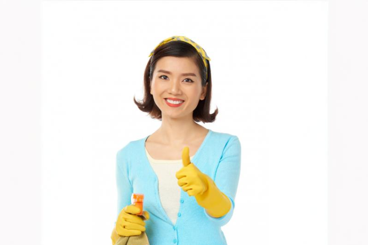 Skilled Domestic Helpers